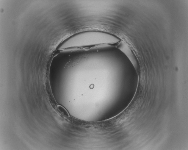 X0000088660434200706081706