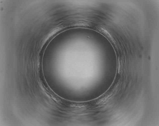 X0000088660435200706081706