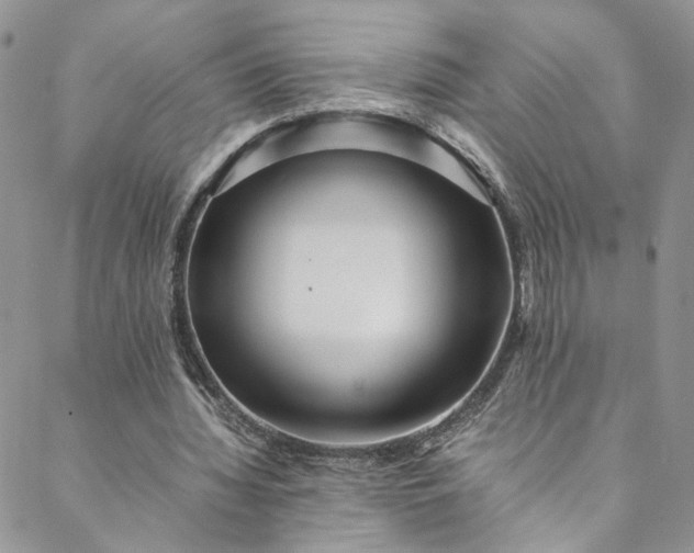 X0000088660436200706081706