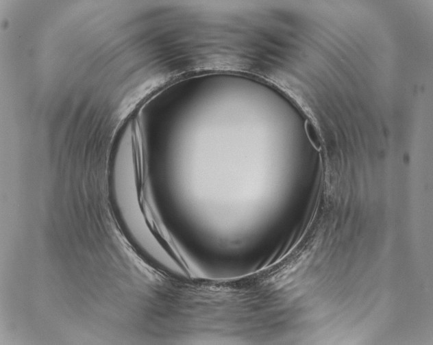 X0000088660437200706081706