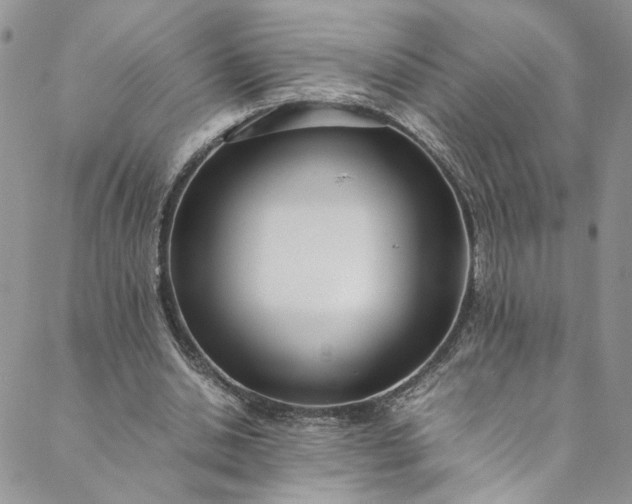 X0000088660438200706081706