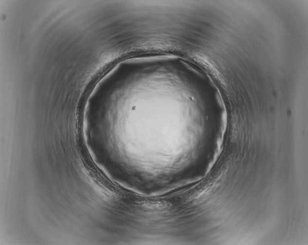 X0000088660439200706081706