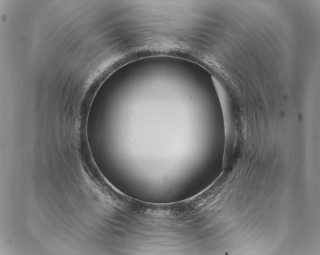 X0000088660440200706081706