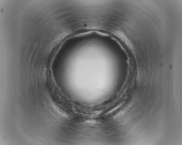 X0000088660441200706081706