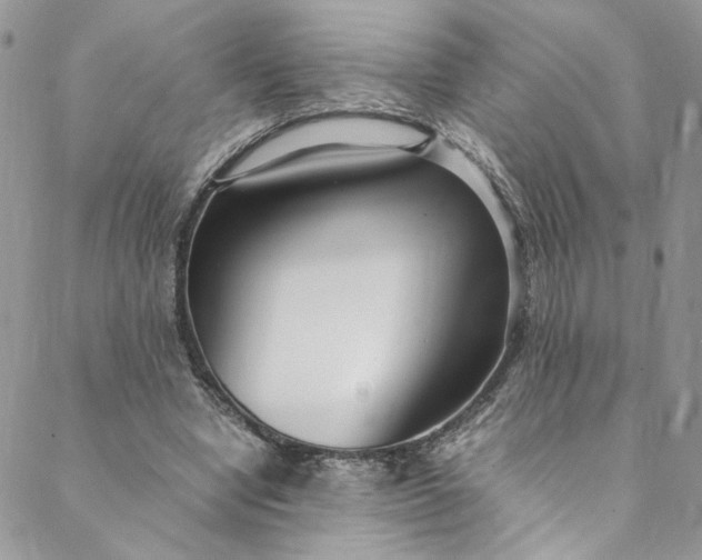 X0000088660442200706081707