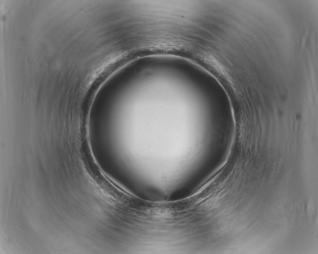 X0000088660444200706081707