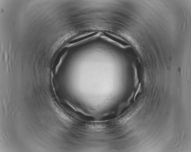 X0000088660445200706081707