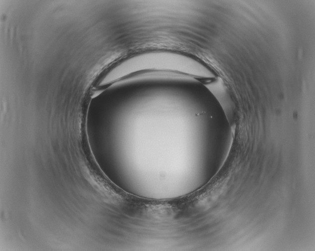 X0000088660446200706081707