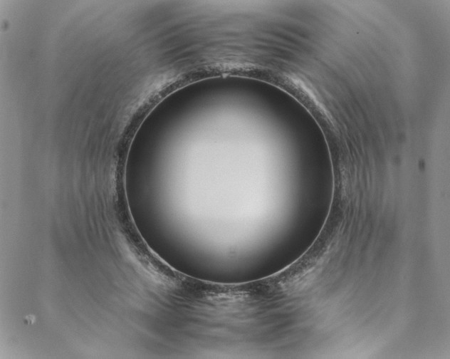 X0000088660447200706081707