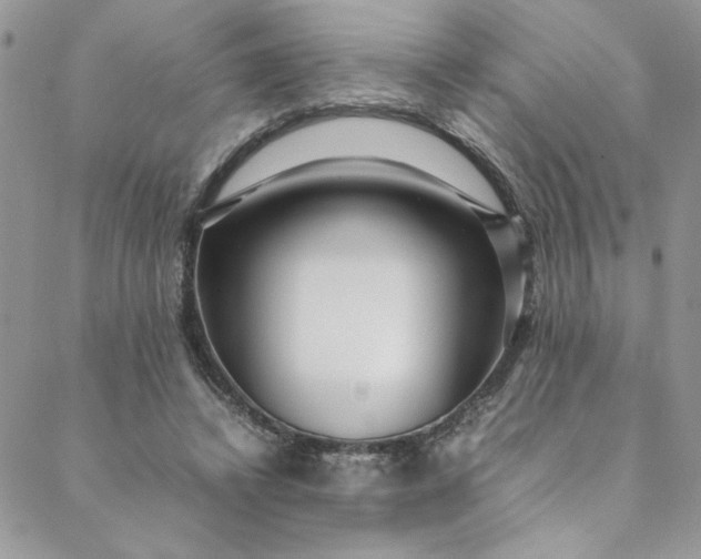 X0000088660448200706081707