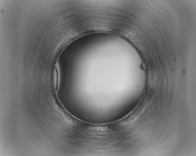 X0000088660449200706081707