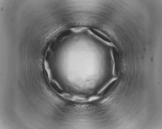 X0000088660450200706081707