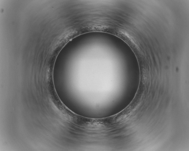 X0000088660451200706081707