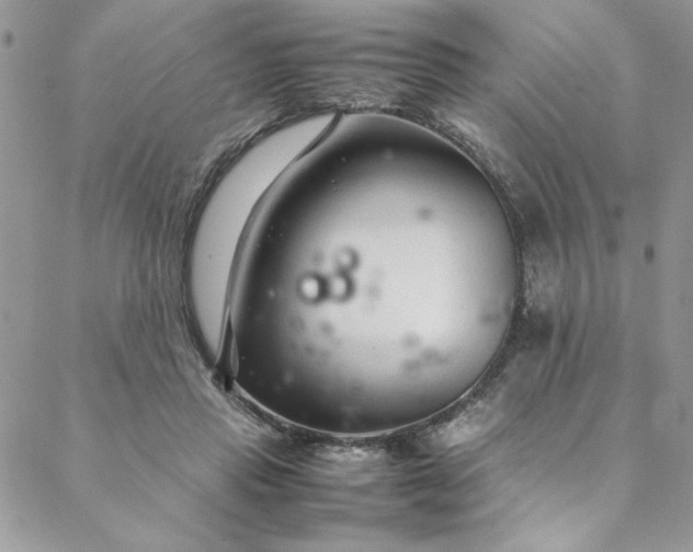 X0000088660453200706081707