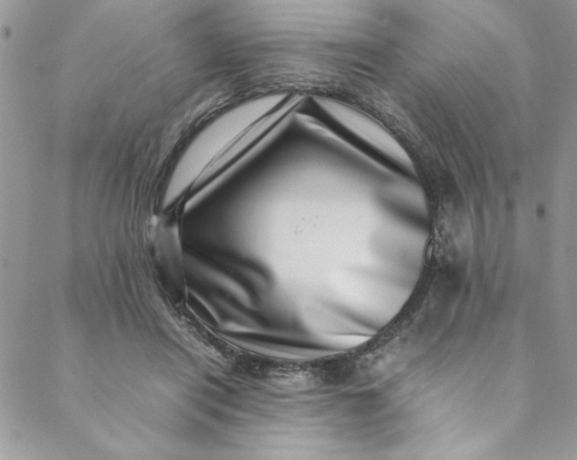 X0000088660454200706081707