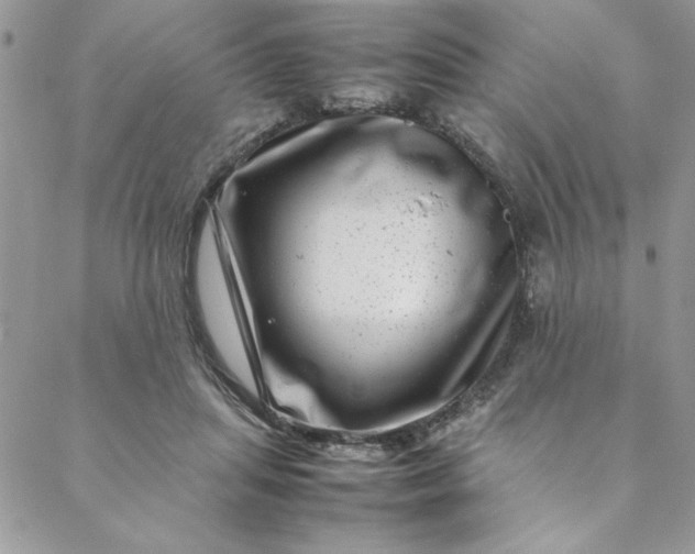 X0000088660455200706081707