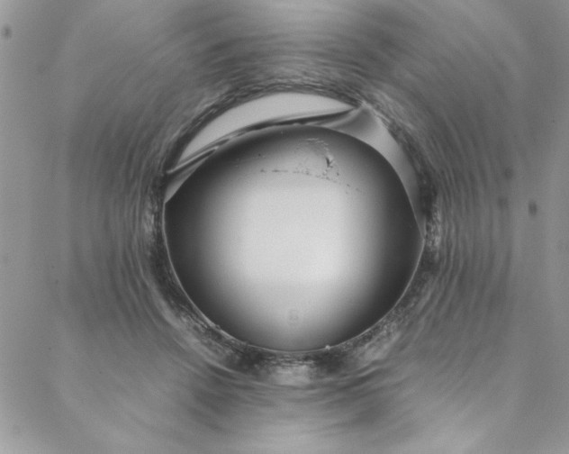 X0000088660456200706081707