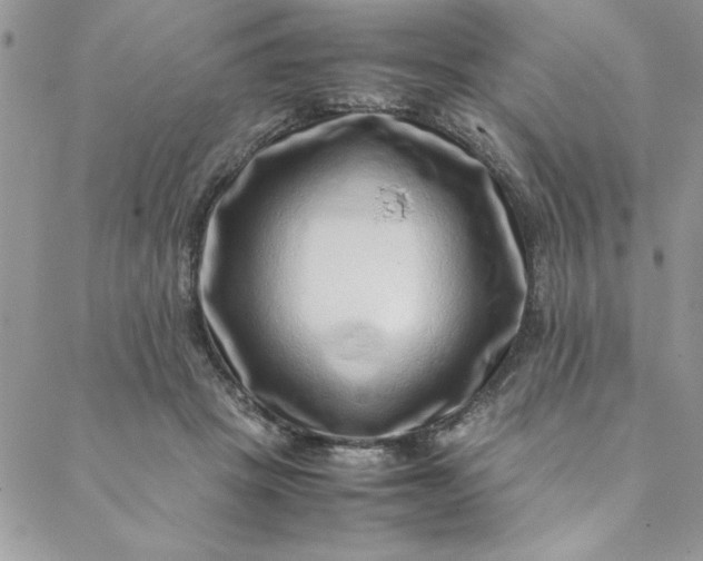 X0000088660457200706081707