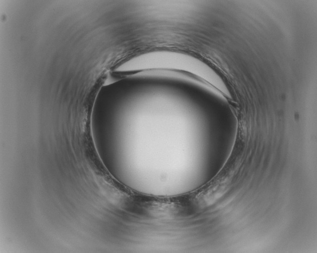 X0000088660458200706081707