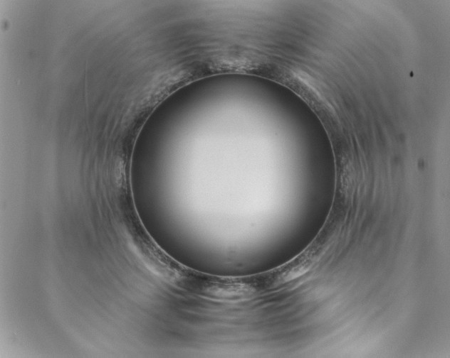 X0000088660459200706081707