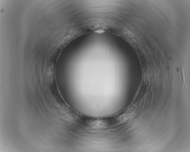 X0000088660460200706081707