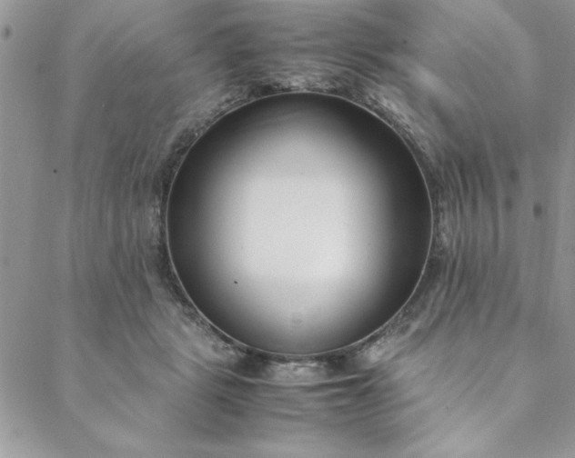 X0000088660461200706081707