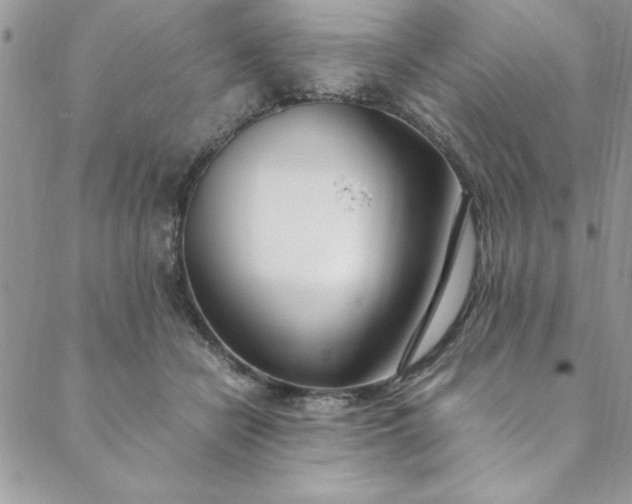 X0000088660462200706081707