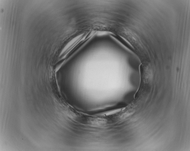 X0000088660463200706081707