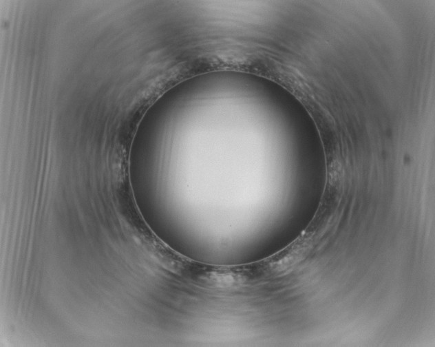 X0000088660464200706081707