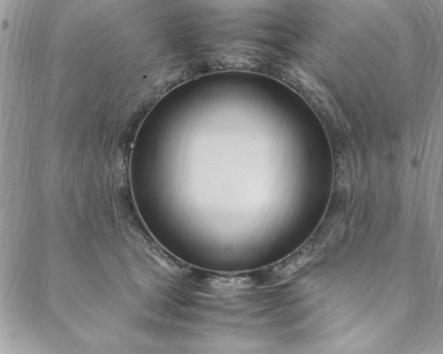 X0000088660465200706081707