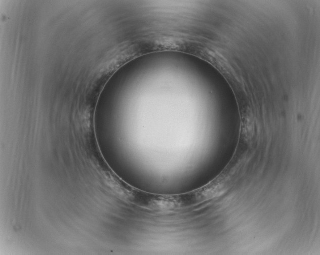 X0000088660466200706081707