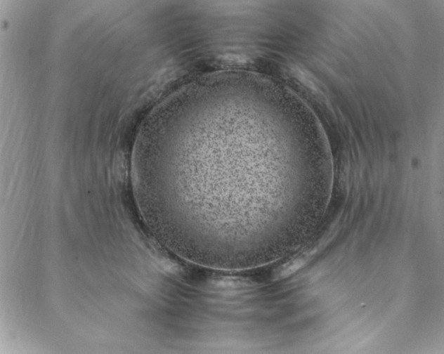 X0000088660467200706081707