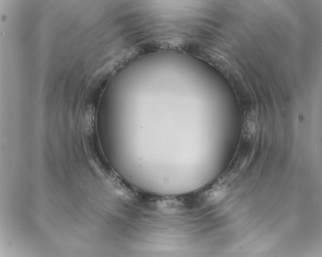 X0000088660468200706081707