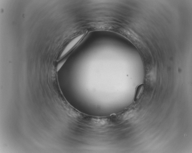 X0000088660469200706081707