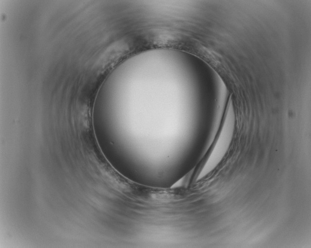 X0000088660470200706081707