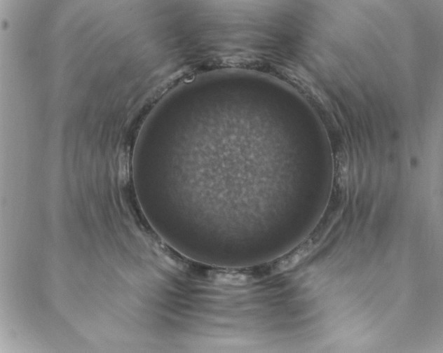 X0000088660471200706081707