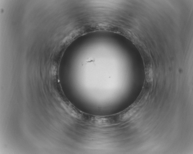 X0000088660472200706081707