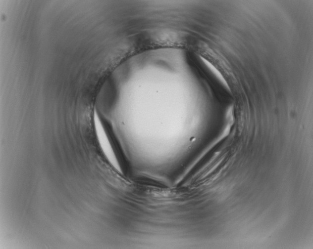 X0000088660473200706081707