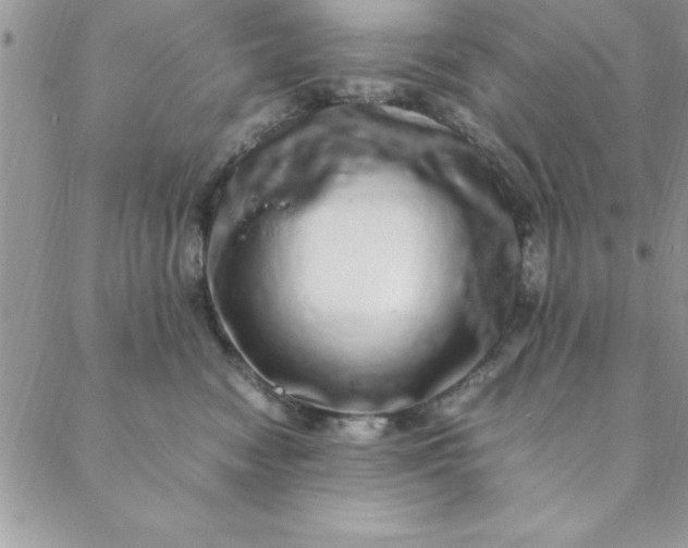 X0000088660474200706081707