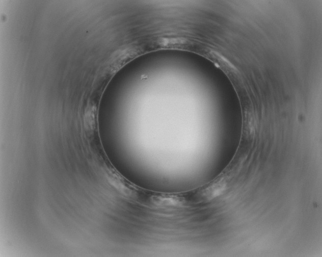 X0000088660475200706081707