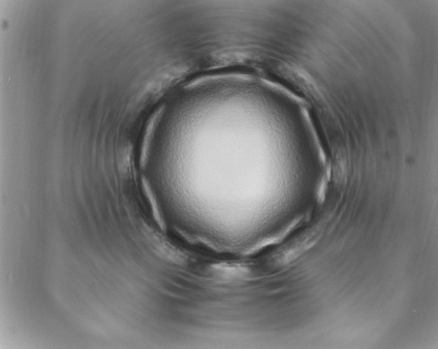 X0000088660477200706081707