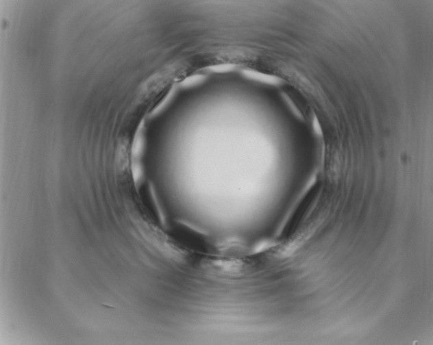 X0000088660478200706081707