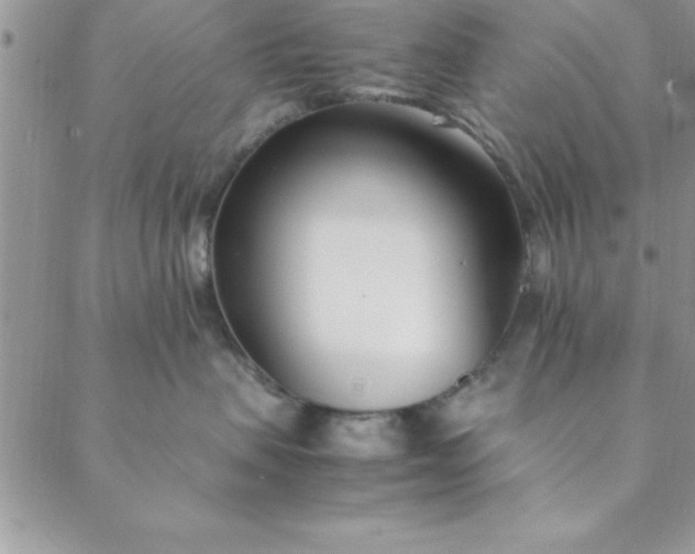 X0000088660479200706081707