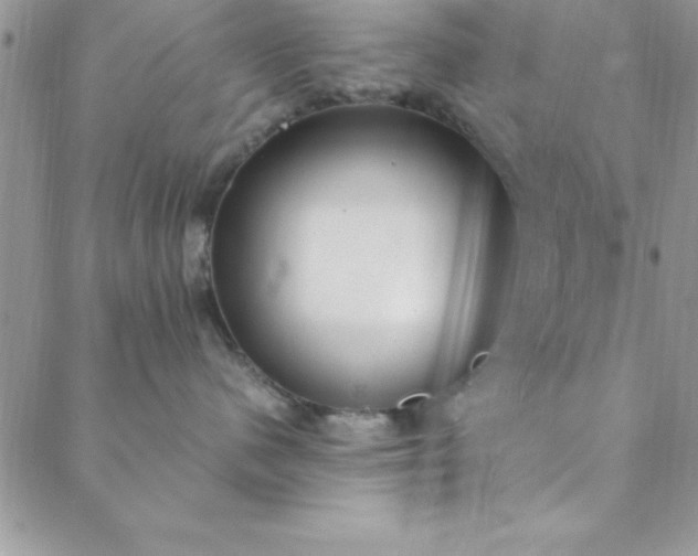 X0000088660480200706081707