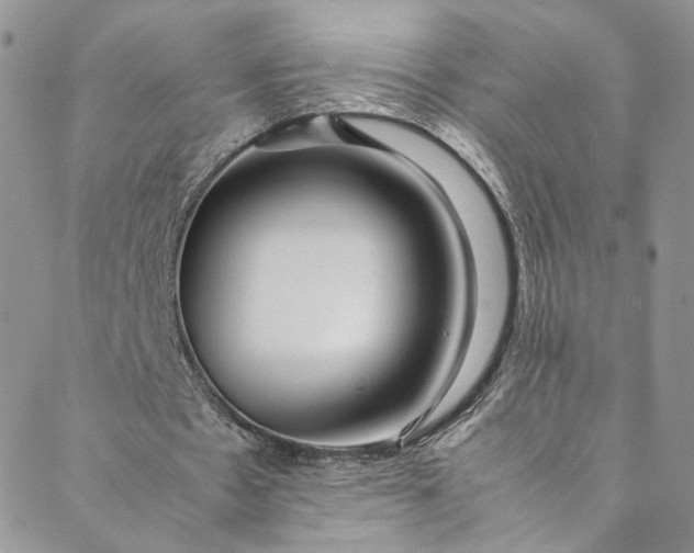 X0000088660481200706081706