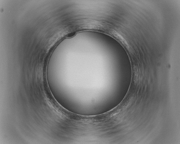 X0000088660482200706081706