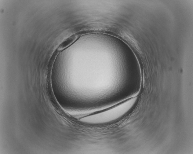 X0000088660483200706081706