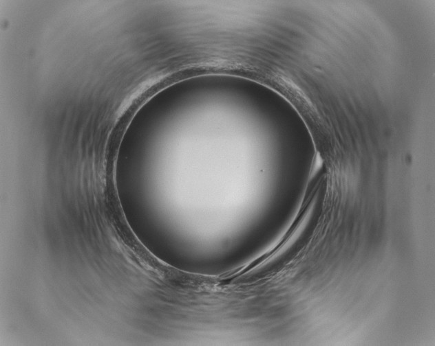 X0000088660484200706081706