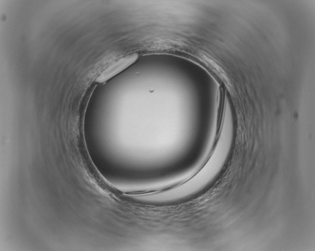 X0000088660485200706081706