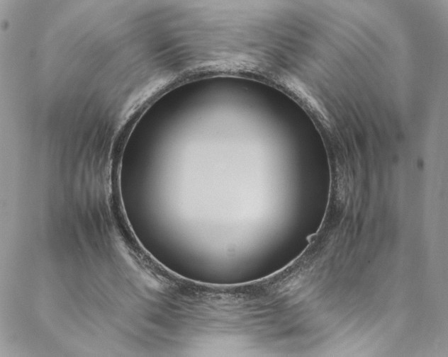 X0000088660486200706081706